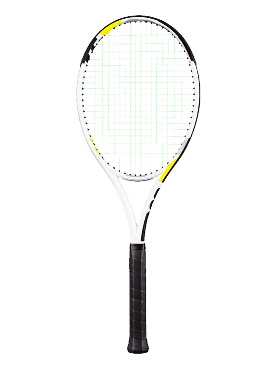 Tecnifibre TF-X1 V2 300